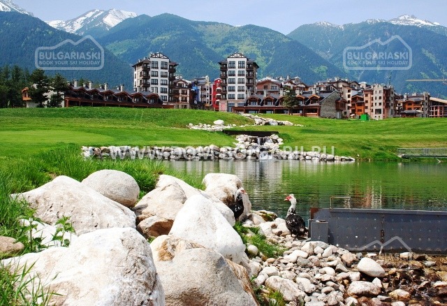 Bansko1